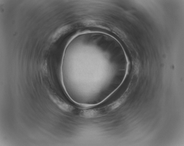 X0000062610766200601181629