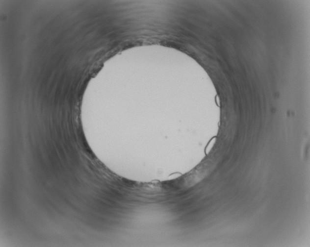 X0000062610768200601181629