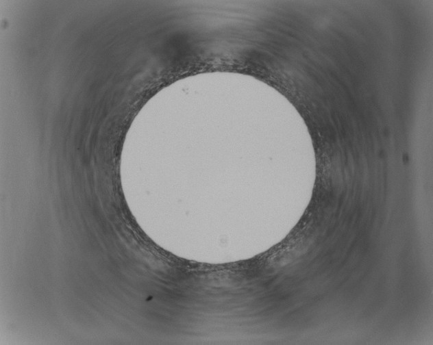 X0000062610769200601181628