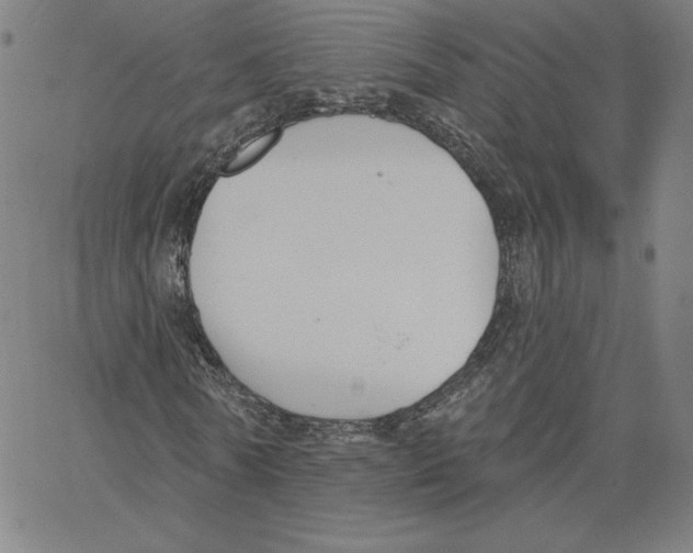 X0000062610770200601181628