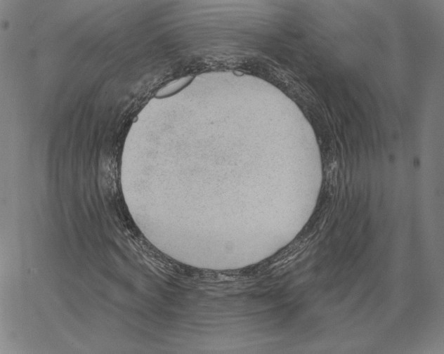 X0000062610772200601181628