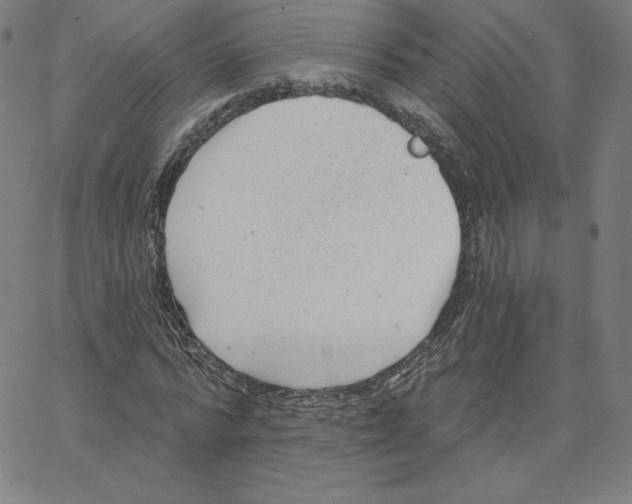 X0000062610776200601181628