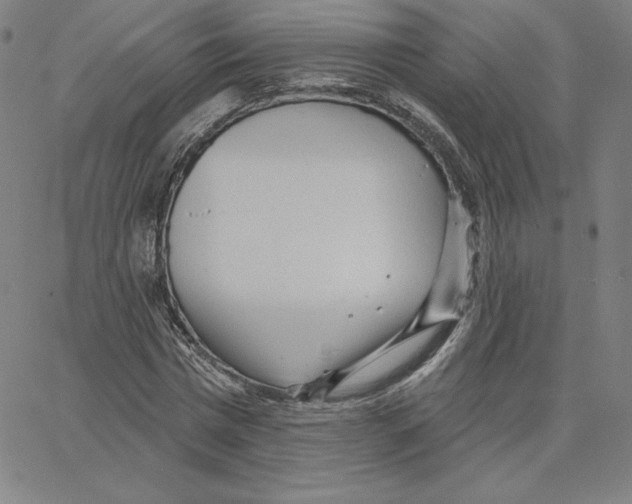 X0000062610777200601181628