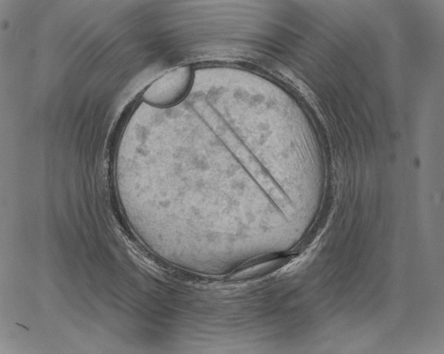 X0000062610779200601181628