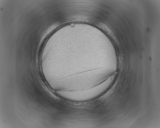 X0000062610780200601181628