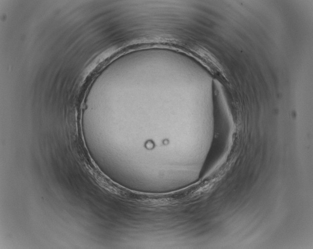 X0000062610781200601181628