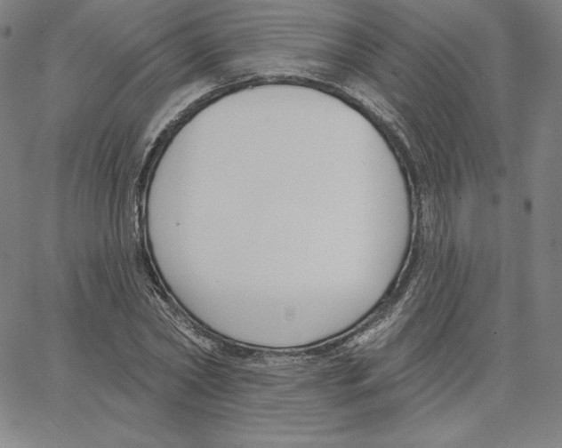 X0000062610782200601181628