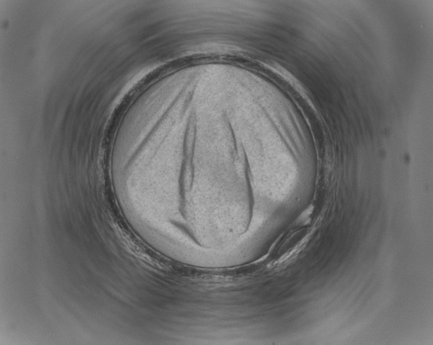 X0000062610783200601181628