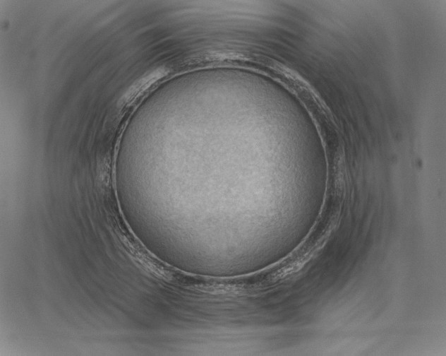 X0000062610785200601181628