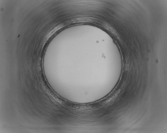 X0000062610786200601181628