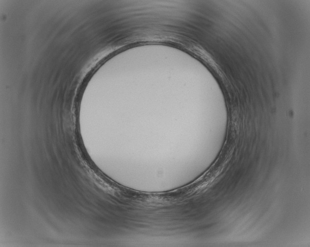 X0000062610787200601181628