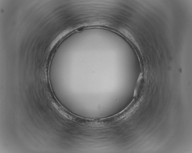 X0000062610789200601181628