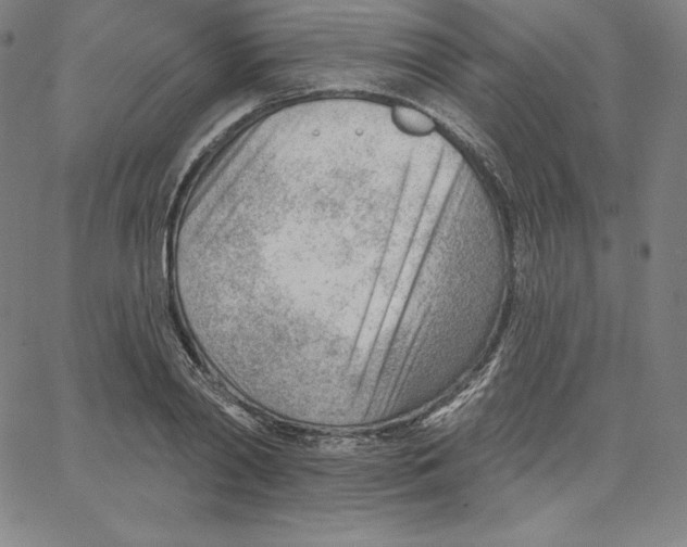 X0000062610790200601181628