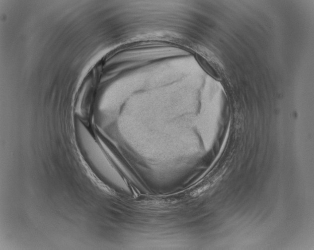 X0000062610792200601181628