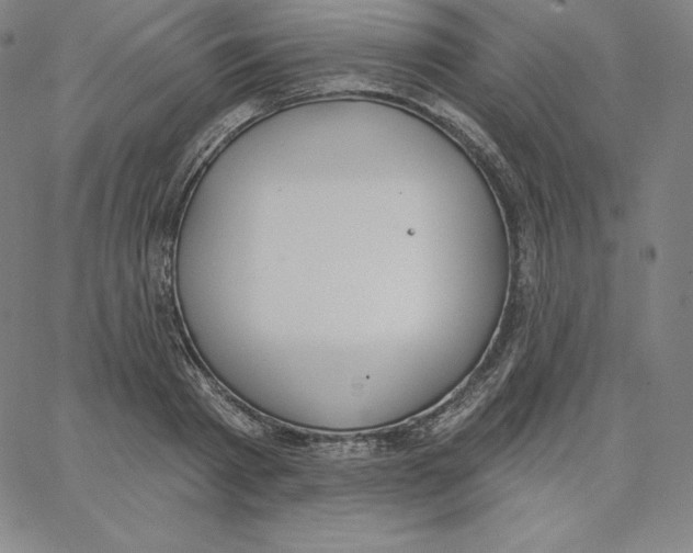 X0000062610793200601181628