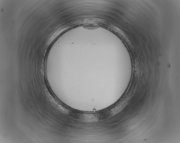 X0000062610794200601181628