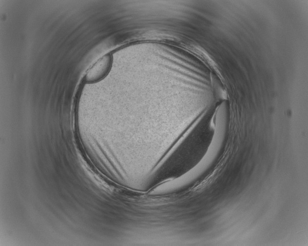 X0000062610795200601181628