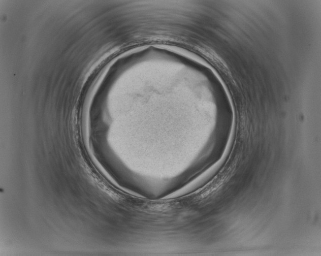 X0000062610798200601181628