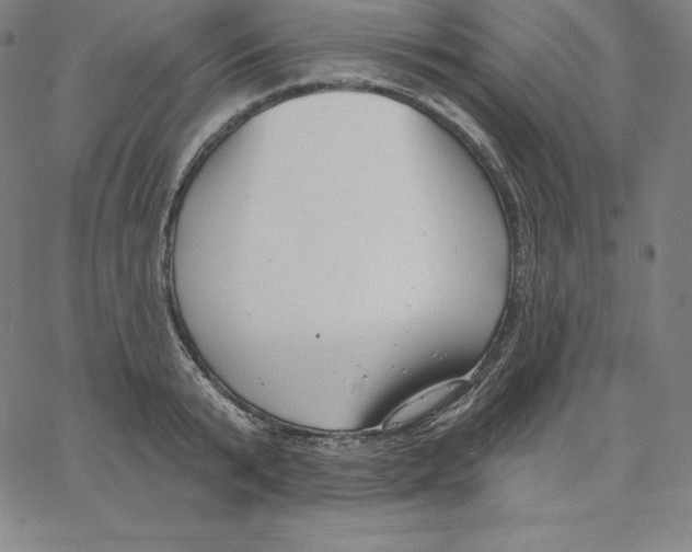 X0000062610799200601181628