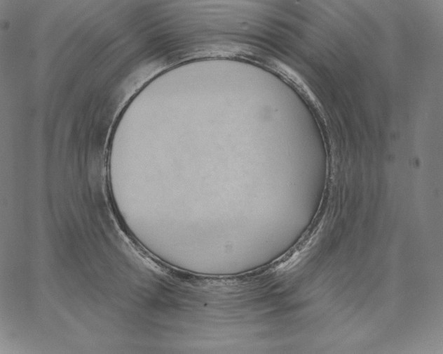 X0000062610802200601181628