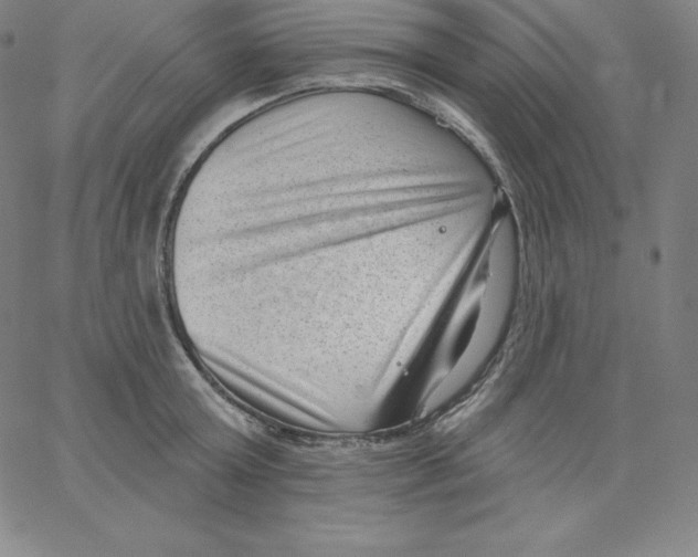 X0000062610803200601181628