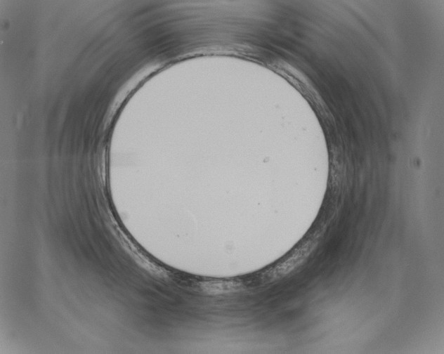 X0000062610804200601181628