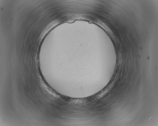 X0000062610806200601181628