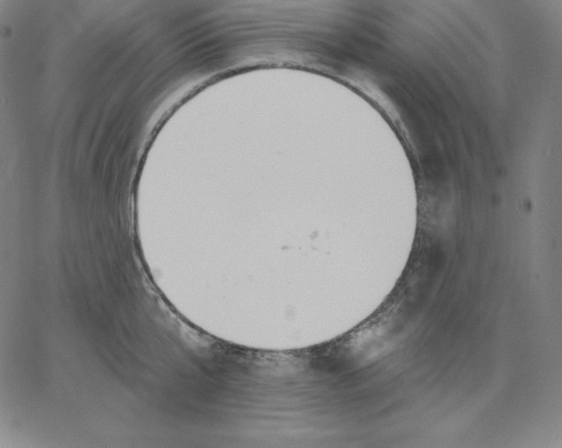 X0000062610807200601181628