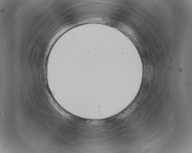 X0000062610808200601181628