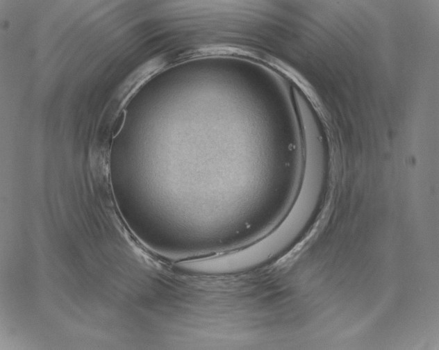 X0000062610809200601181628