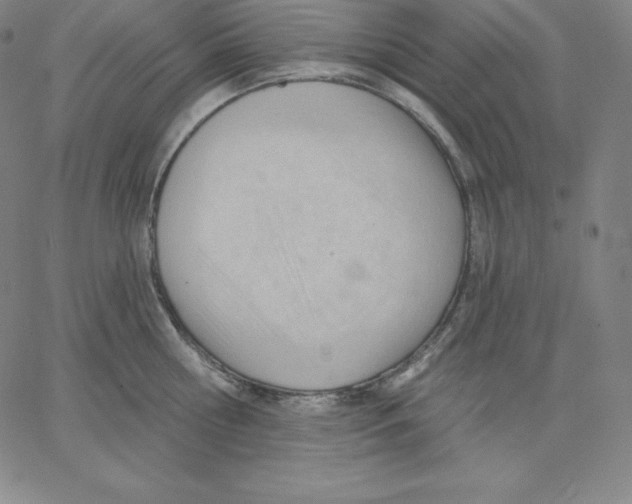 X0000062610810200601181628