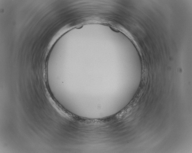 X0000062610811200601181628