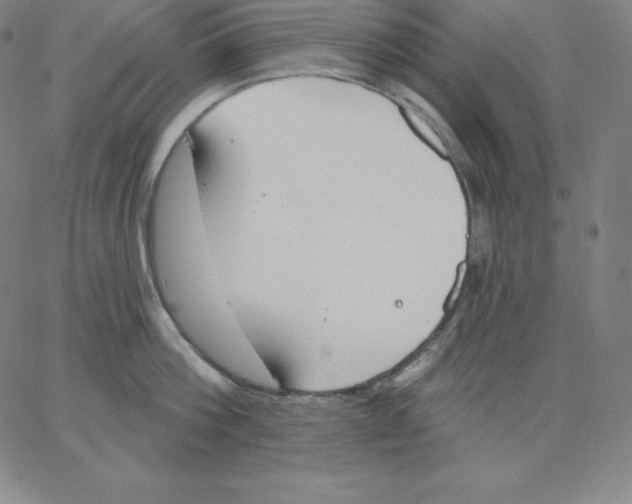 X0000062610812200601181628