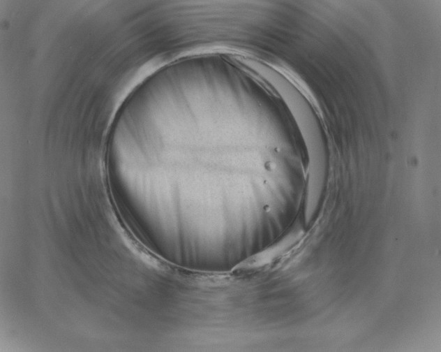 X0000062610813200601181628