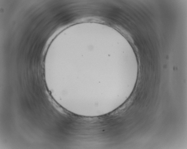 X0000062610816200601181628