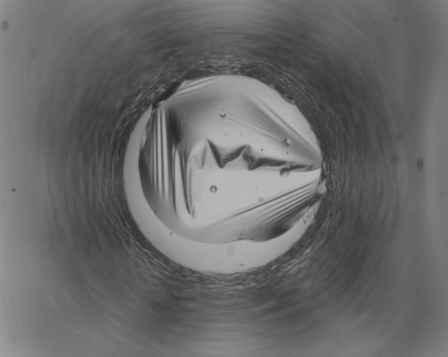 X0000062610818200601181627