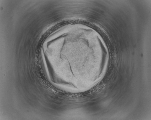 X0000062610823200601181627