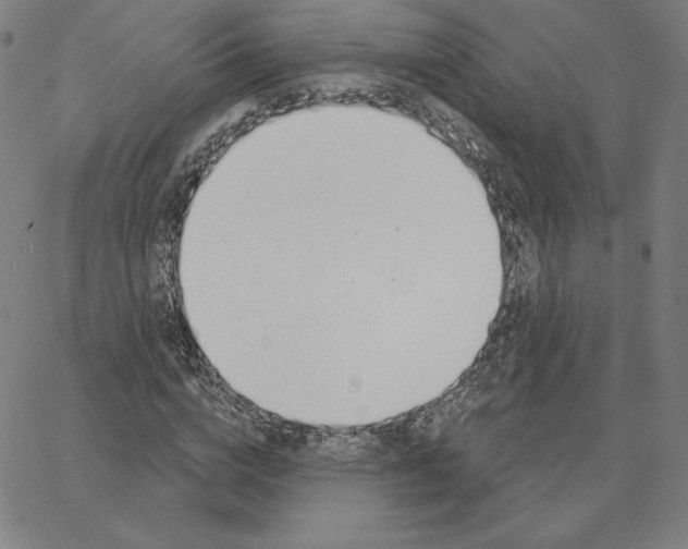 X0000062610824200601181627