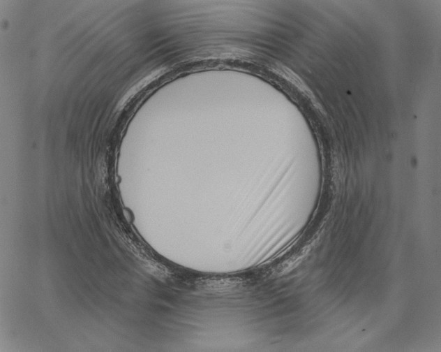 X0000062610826200601181627