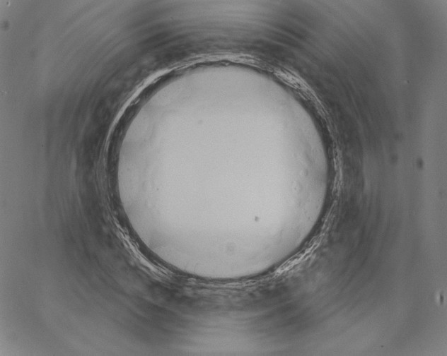 X0000062610828200601181627