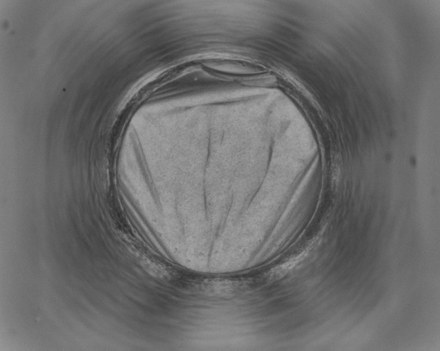 X0000062610829200601181627