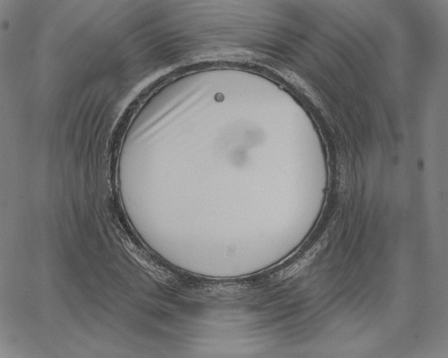 X0000062610830200601181627