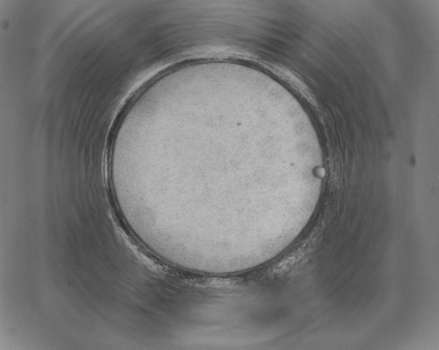 X0000062610839200601181627