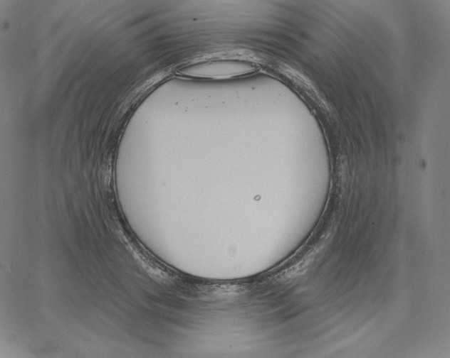 X0000062610841200601181627