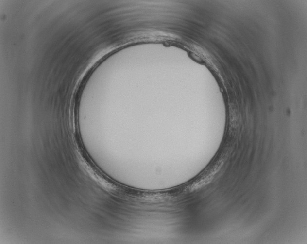 X0000062610843200601181627