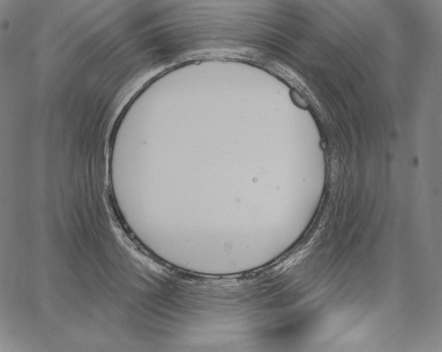 X0000062610844200601181627