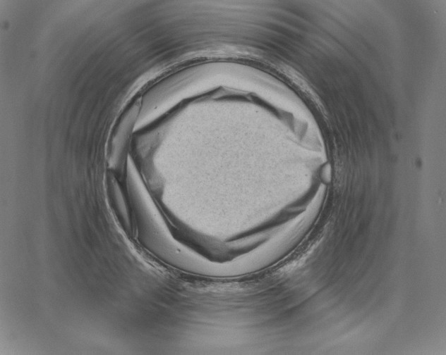 X0000062610845200601181627