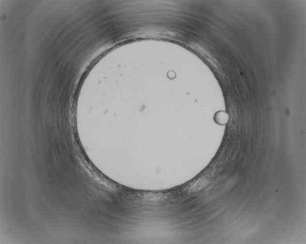 X0000062610848200601181627