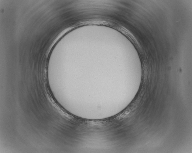 X0000062610852200601181627