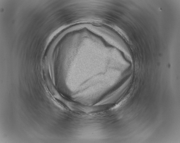 X0000062610854200601181627